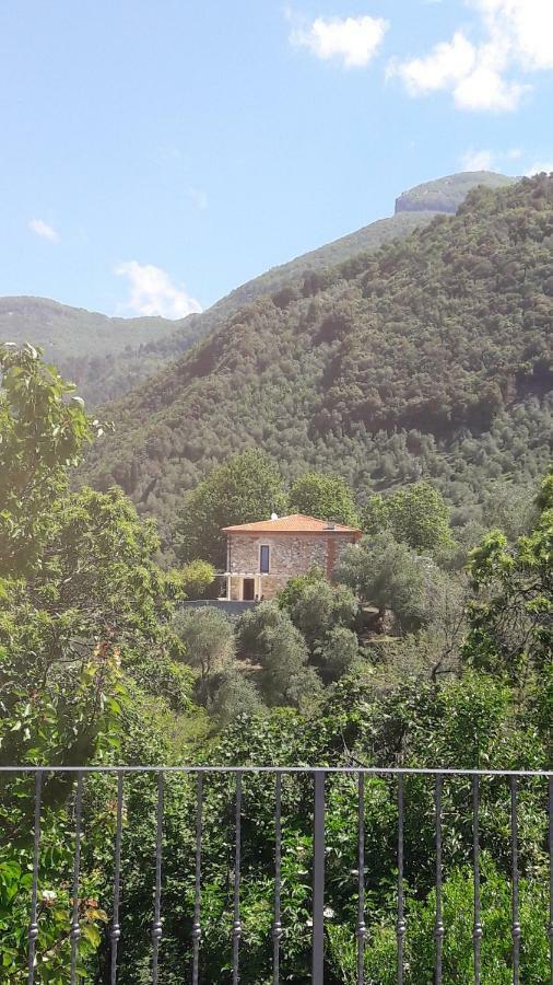 Il Colle Di Abramo Casa Vacanze Enrica Pietrasanta Zewnętrze zdjęcie
