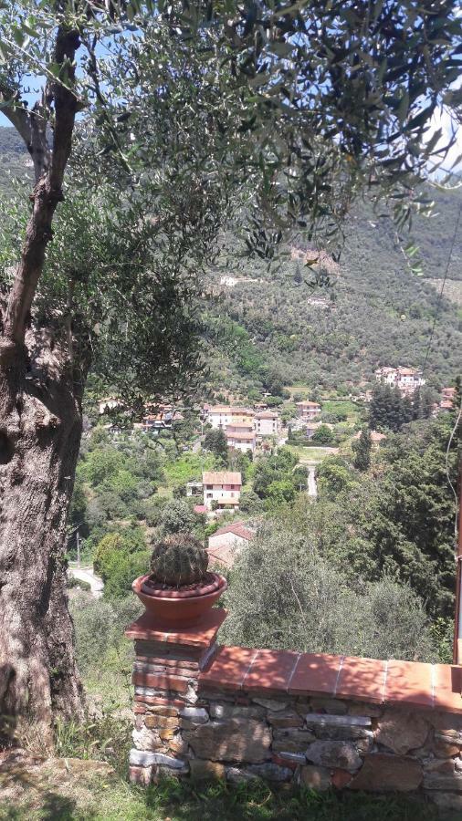 Il Colle Di Abramo Casa Vacanze Enrica Pietrasanta Zewnętrze zdjęcie